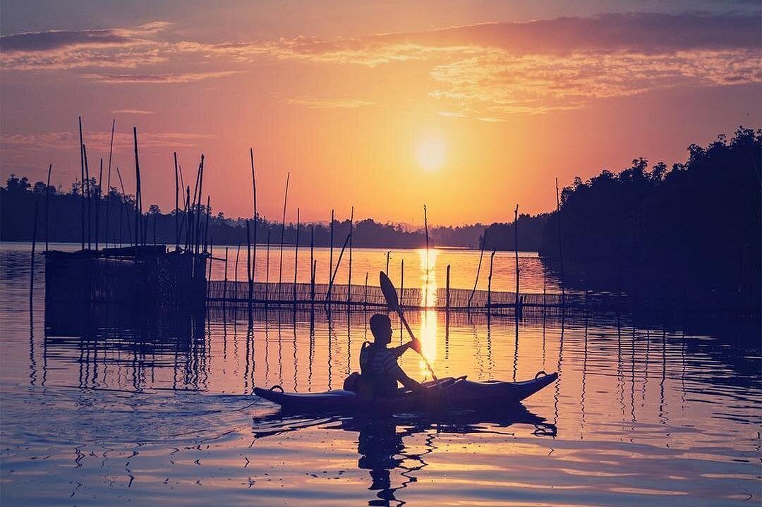 mangrove kayaking bentota